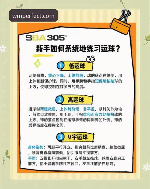 揭秘完美体育下载链接：从新手到高手的完整操作指南