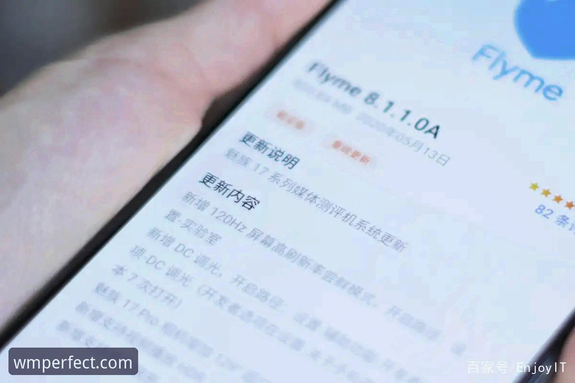 揭秘完美体育中国官网使用指南：老用户才知道的高效玩法