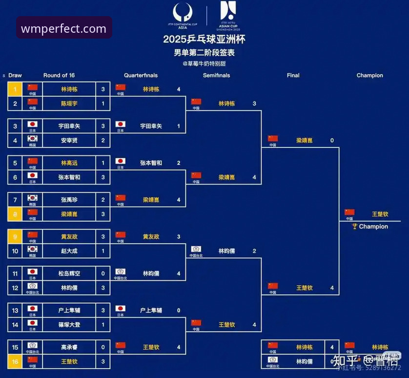 2025世乒赛男团小组赛深度复盘：中国男乒3-0英格兰的战术演进