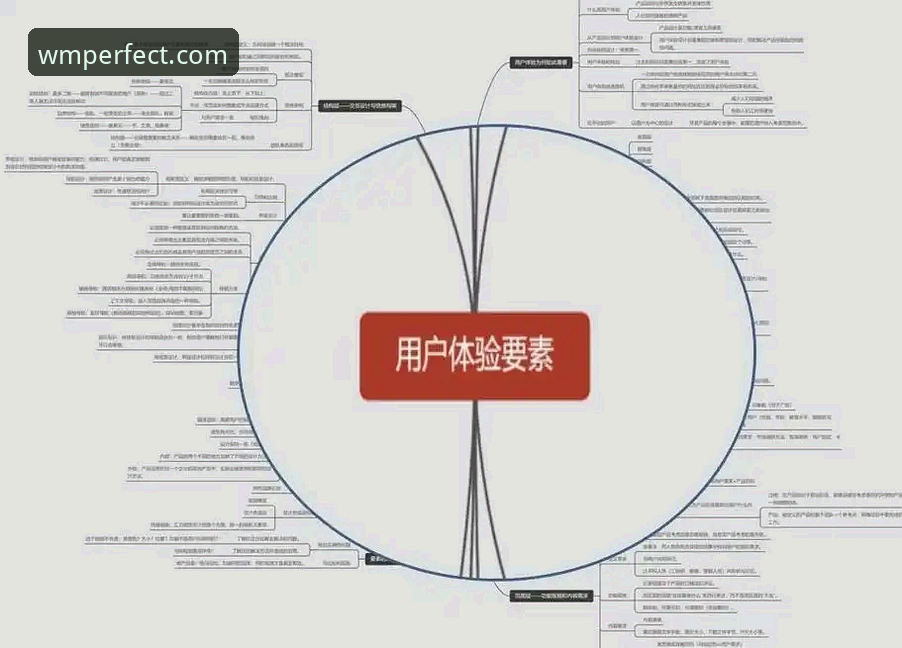 完美体育平台注册流程深度分析：从数据更新到用户体验的全面解析