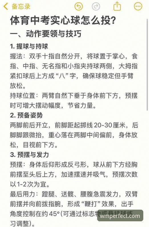 实战派用户分享：完美体育投注官网的完整使用心得与操作指南