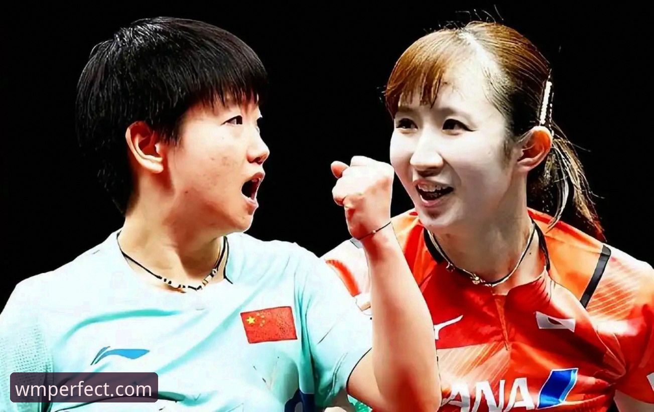 2026伦敦世乒赛女团技术复盘：在完美体育平台体验中国女乒战术体系的操作教程