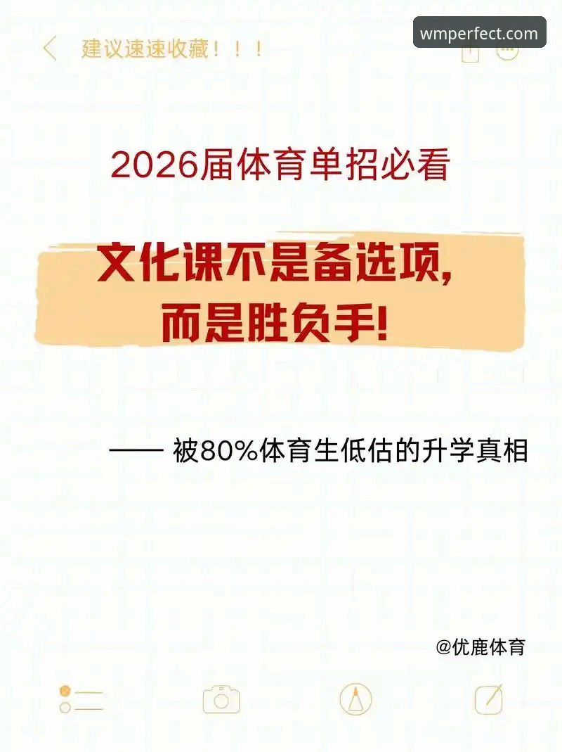 完美体育手机版2026最新版本 完美体育手机版2026最新版本实用指南——从安装到投注的完整操作手册